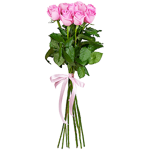9 premium pink roses arrangement with delivery Kerch
