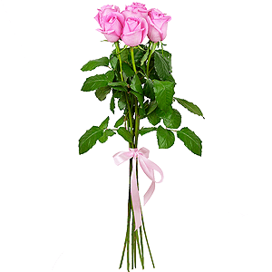 7 premium pink roses arrangement with delivery Kerch