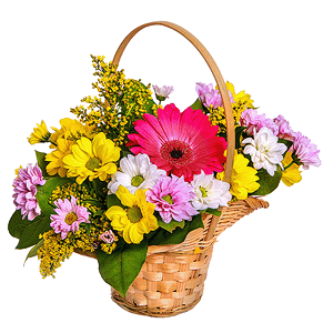 Сorporative present with delivery Kerch