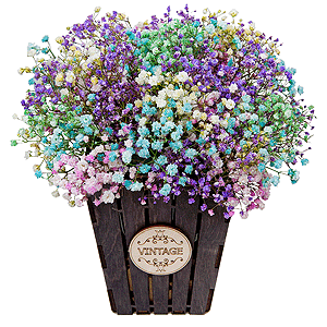 Candy with delivery Kerch