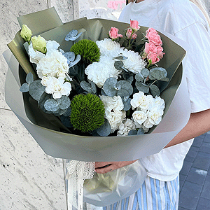 Philosophy of Nature with delivery Kerch