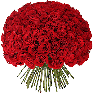 Bouquet of 101 red roses Ecuador with delivery Kerch