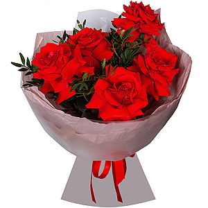 Rose Red 50 cm Ecuador - 9, Pistachio, Wrapping Paper