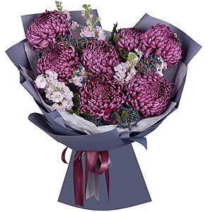 Chrysanthemum Bigoudi purple - 15, Matthiola Lilac - 3, Viburnum, Wrapping Paper