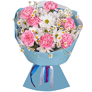 Pink carnation - 11, Bacardi White Spray Chrysanthemum - 2, Chamomile - 2, Wrapping Paper