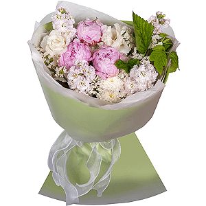 Peony pink - 3, Baltica White Spray Chrysanthemum - 7, Matthiola Lilac - 4, lisianthus - 4, White statice, Wrapping Paper,  Raspberry branch