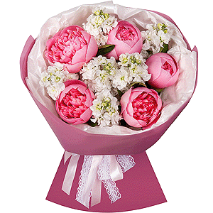 Peony Queen with delivery Kerch