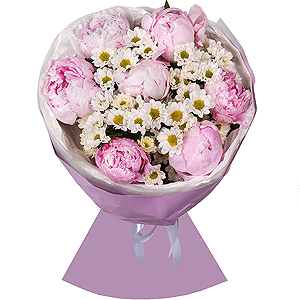 Morning in Provence with delivery Kerch