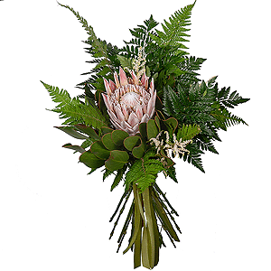Protea, Fern (1 pc.), Astilbe, Ribbon