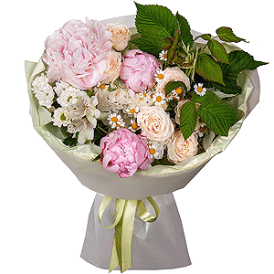 Summer Etude with delivery Kerch