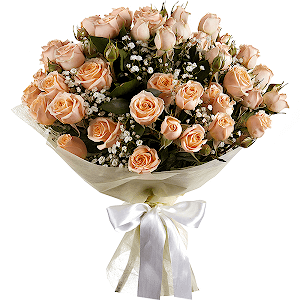 Wonderful Start with delivery Kerch