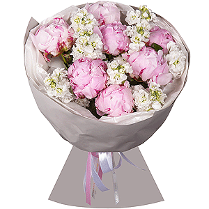 Peony pink - 7, White Matthiola - 18, Wrapping Paper