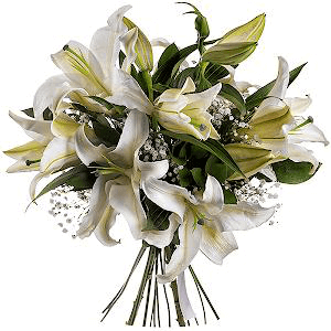 Bouquet of lilies (Small) with delivery Kerch