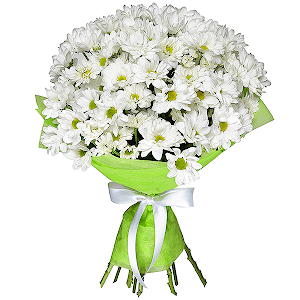 7 Daisy poms with delivery Kerch