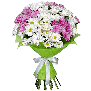 11 Daisy poms with delivery Kerch