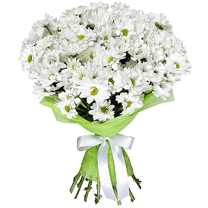 9 Daisy poms with delivery Kerch