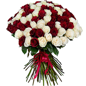 Bouquet of 101 red and white roses Ecuador Premium with delivery Kerch