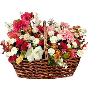 White amaryllis  - 2, Peony rose pink 'OHara' - 29, Pink cut anthurium - 4, lisianthus - 8, Spray peony rose  - 30, Orchid bud yellow/brown Cymbidium - 19, Pink Hyacinth - 8, Pink tulip - 13, Freesia - 13, Ranunculus White - 10, Carnation white, cream - 12, Red amaryllis - 4, Pink amaryllis - 3, Hypericum, Decorative element medium, Asparagus setaceus (1 pc.), Large Basket, Oasis, Pistachio, Flask for orchids