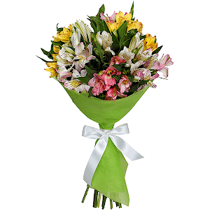 11 Alstroemerias with delivery Kerch