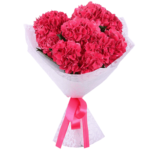 Bouquet of pink hydrangeas with delivery Kerch