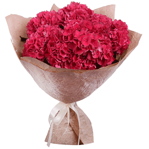 Bouquet of lilac hydrangeas with delivery Kerch