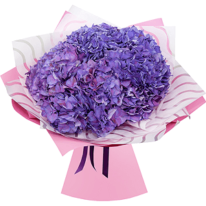 Bouquet of lilac hydrangeas with delivery Kerch