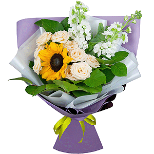 Mystery with delivery Kerch