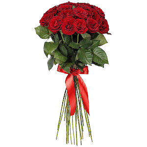 21 Premium red roses with delivery Kerch