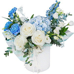 A dream in reality with delivery Kerch