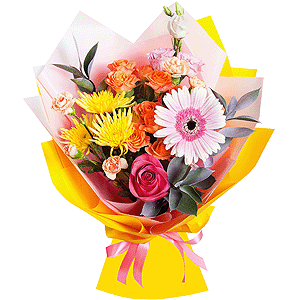 Bright stars with delivery Kerch