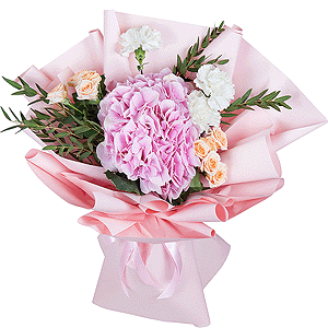 Pink lady with delivery Kerch
