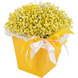 Golden Sands with delivery Kerch