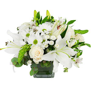 Lilies - 3, White rose 50 cm - 5, Bacardi White Spray Chrysanthemum - 3, Alstromeria white, soft pink - 3, Santini White Spray Chrysanthemum - 2, Transparent vase, Oasis, Ornithogalum, Eucalyptus Cinerea