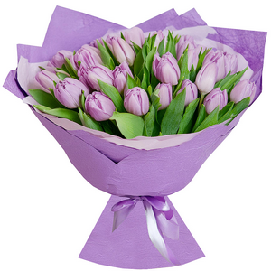 Lilac tulip - 25, Wrapping Paper, Ribbon