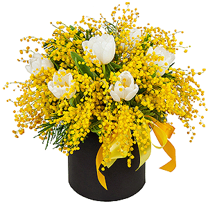 Spring salute with delivery Kerch