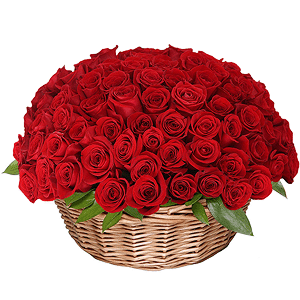 Red rose 50 cm - 161, Large Basket, Oasis
