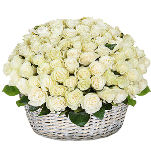 Basket of 101 white roses with delivery Kerch