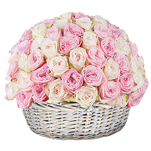 Peony style roses - 161, Large Basket, Oasis