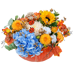Bountyful with delivery Kerch