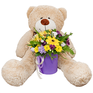 Sunbeams with teddy bear with delivery Kerch