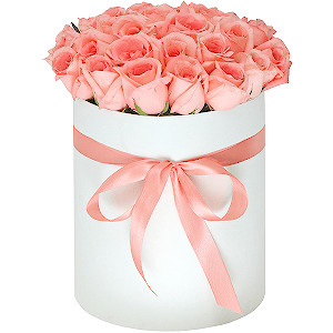 Fascination with delivery Kerch
