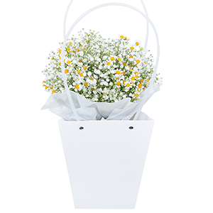 Bag with flowers with delivery Kerch
