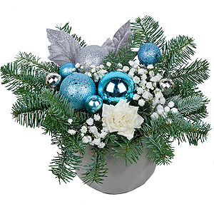 Magic Winter with delivery Kerch