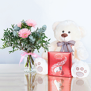 Gift set "Gerberas, teddy bear and sweets" with delivery Kerch