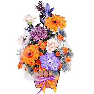 Mysterious Castle with delivery Kerch