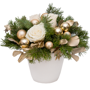 White rose 50 cm - 7, Spruce branches (1pc.), Eucalyptus parvifolia (1 pc.), Oasis, Ceramic pot, Christmas decor (set)