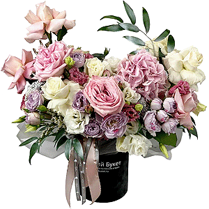 Casual elegance with delivery Kerch