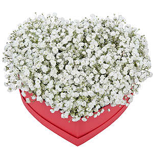 From the heart with delivery Kerch