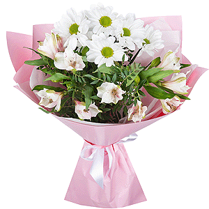 Tender dream with delivery Kerch