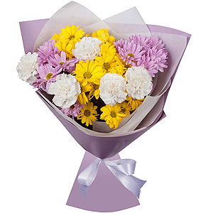 Constellation Chrysanthemum with delivery Kerch